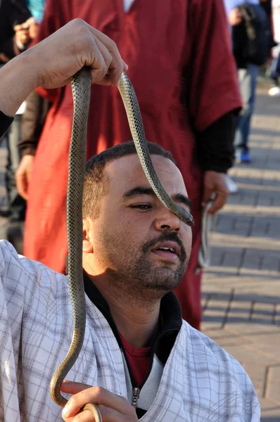 stock image Snake charmer at Djemaa el Fna square in Marrakech