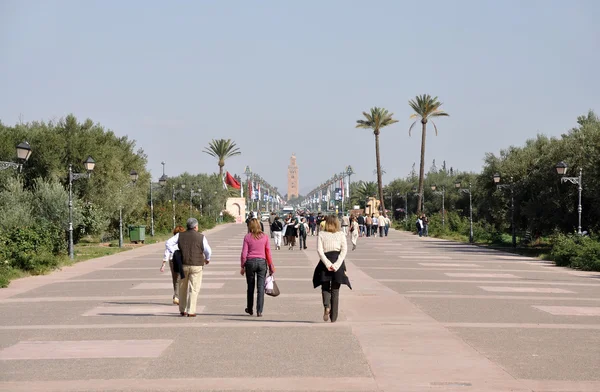 View from Menara Gardens towards the Koutoubia Mosque in Marrakech — Stock Photo, Image