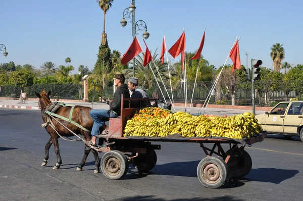 Transporte de frutas en Marrakech, Marruecos — Foto de Stock