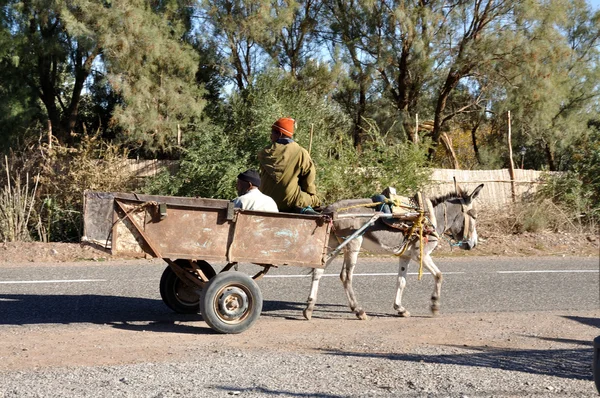 モロッコの村でラバのカート. — ストック写真