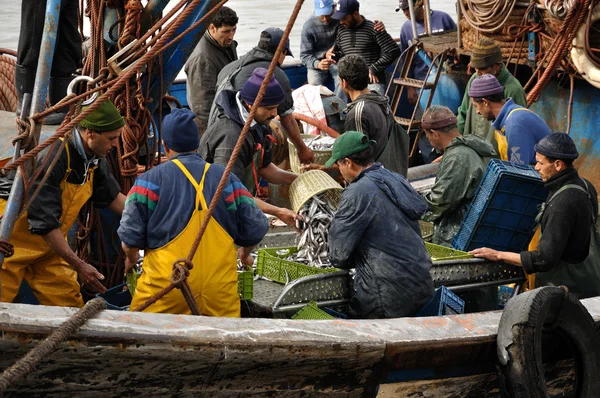 Pêcheurs déchargeant du poisson en Essaourie Maroc . — Photo