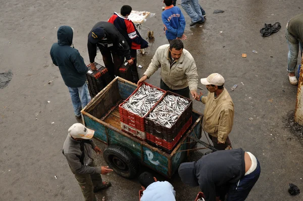Scena na rynku ryb essaouria, Maroko — Zdjęcie stockowe