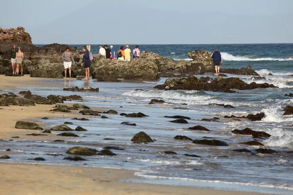 Chůze po pláži na Kanárské ostrov fuerteventura, Španělsko — Stock fotografie