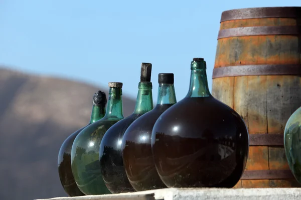 Vinflaskor i en vingård på kanariska ön lanzarote, Spanien — Stockfoto
