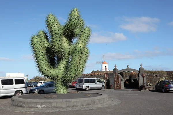 Kakteengarten - jardin de cactus - auf kanarische Insel lanzarote, spanien — Stockfoto