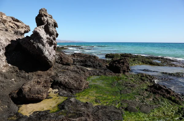 Praia de pedra vulcânica de Canary Island Fuerteventura, Espanha — Fotografia de Stock