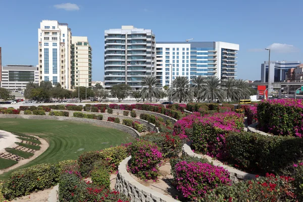 Flowerbeds in the city of Dubai — Stock Photo, Image