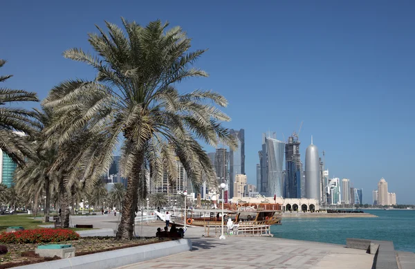 Palmbomen op de corniche in doha downtown district, al dafna, qatar — Stockfoto
