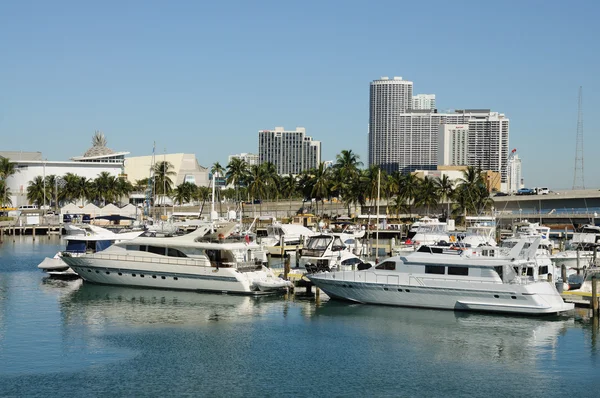 Motor Yachts at Miami Bayside Marina, Florida USA — Stock Photo, Image