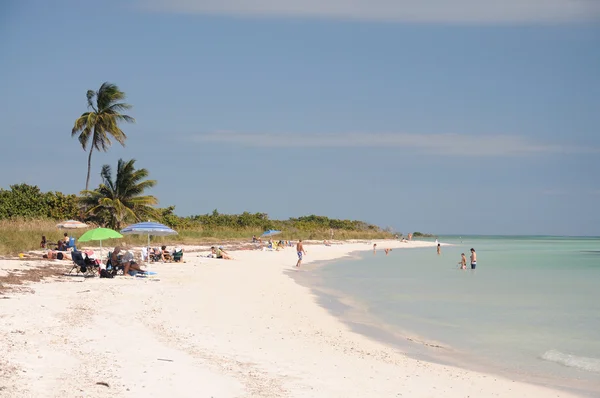 Пляж в Bahia Honda Key, Флорида, США — стоковое фото