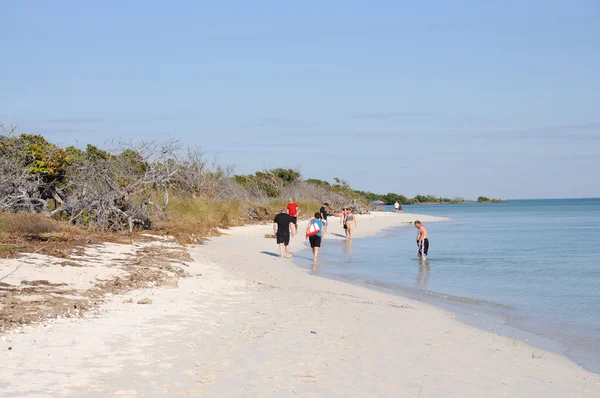 Playa en Bahia Honda Key, Florida, EE.UU. —  Fotos de Stock