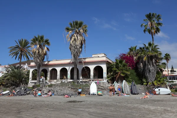 Palmbomen op het strand playa de los cristianos, tenerife — Stockfoto