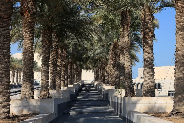 在卡塔尔的多哈伊斯兰艺术博物馆在棕榈树胡同 — 图库照片