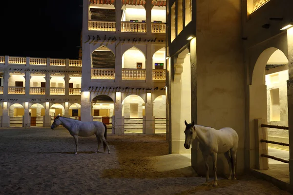 Cavalos árabes em Souq Waqif, Doha Qatar — Fotografia de Stock