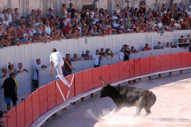 Bullfight in the old roman Arena in Arles, France clipart