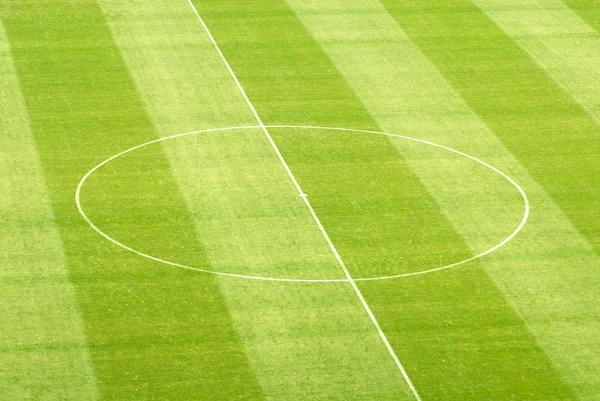 Césped verde en un estadio de fútbol — Foto de Stock