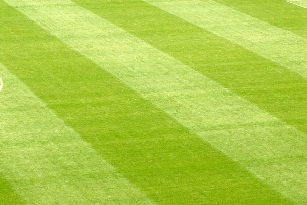 Césped verde en un estadio de fútbol — Foto de Stock