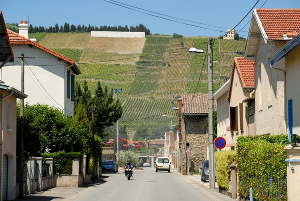 Pueblo francés con viñedo en el fondo — Foto de Stock