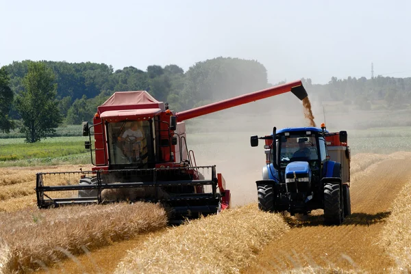 Kombajn na poli pšenice — Stock fotografie