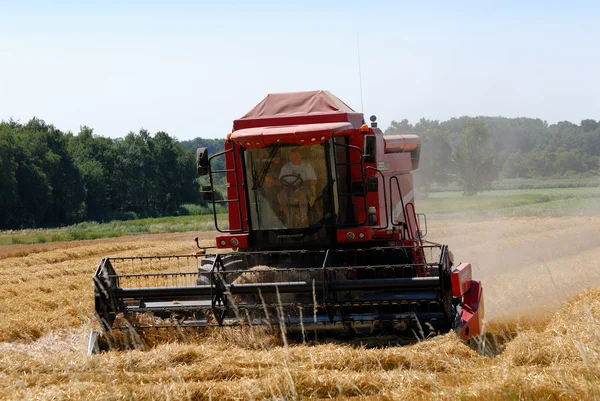 Combine harvester in the field — Stock Photo, Image