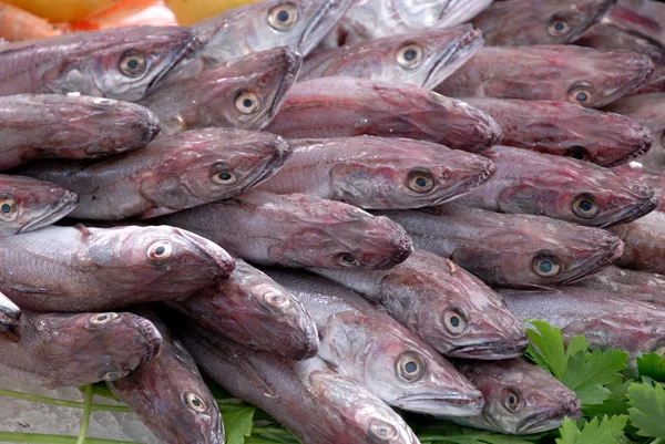 新鲜的鱼，在市场上在普罗旺斯地区艾克斯，法国 — 图库照片