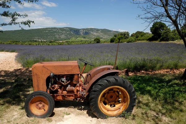Starý traktor a levandule pole na pozadí ve Francii — Stock fotografie