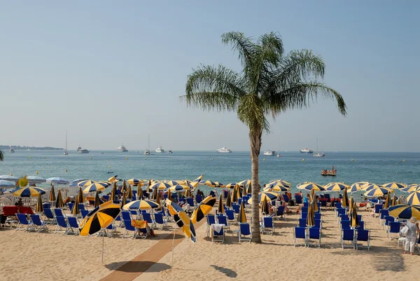 Beach, Cannes, Güney Fransa — Stok fotoğraf