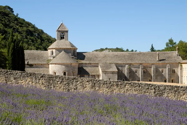 Abadía de Senanque en la Provenza, sur de Francia —  Fotos de Stock