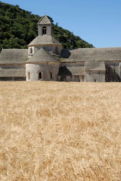 Abbazia di Senanque in Provenza, Francia meridionale — Foto Stock