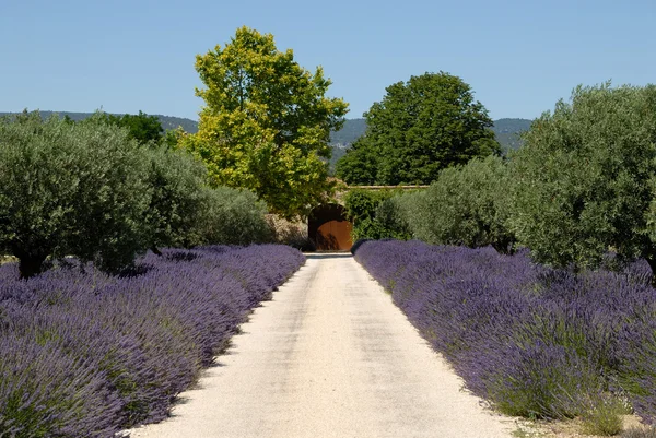 Haus in der Provence, Südfrankreich — Stockfoto