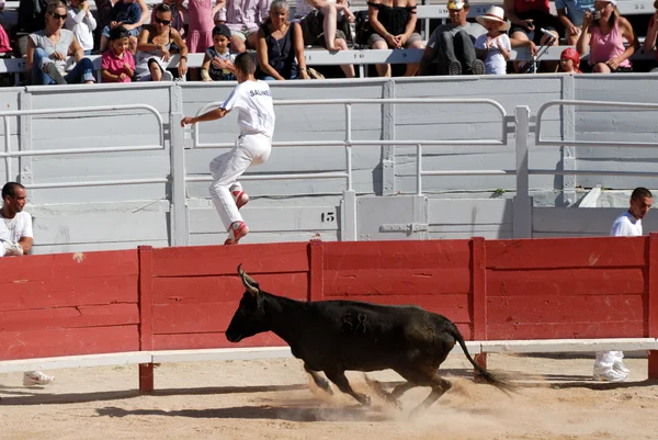 Persiguiendo al toro en la Arena Romana en Arles, Francia — Foto de Stock