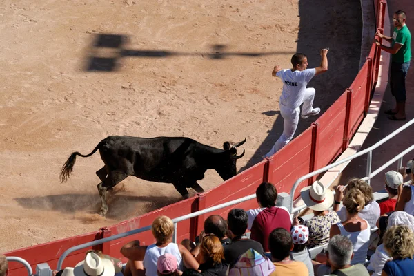 Chasing tjuren i den romerska arenan i arles, france — Stockfoto