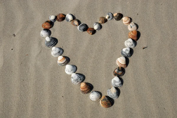 Srdce z mušlí na pláži — Stock fotografie
