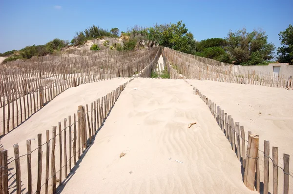 Песчаная дюна на средиземноморском побережье Франции — стоковое фото