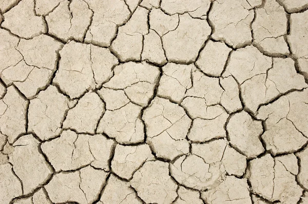 Трещины, сухая земля после засухи — стоковое фото