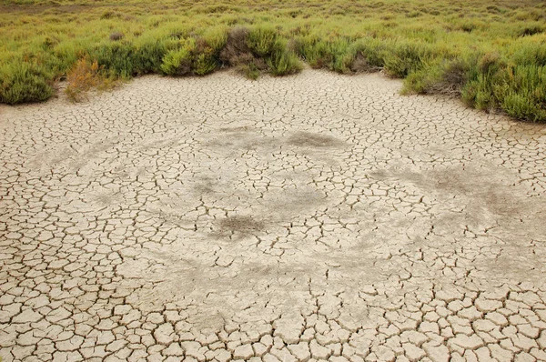 Kırık, kurak topraklarda: camargue, Fransa — Stok fotoğraf
