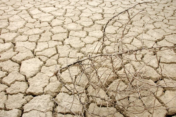 Трещины в почве после засухи — стоковое фото