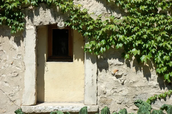 Yeşil tarafından çevrili kapı — Stok fotoğraf