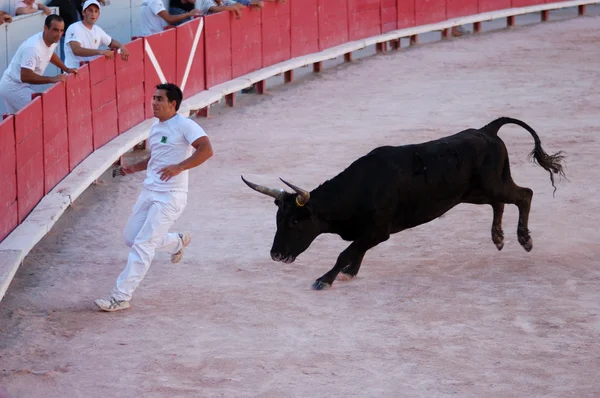 Bullfight na antiga arena romana em Arles, França — Fotografia de Stock