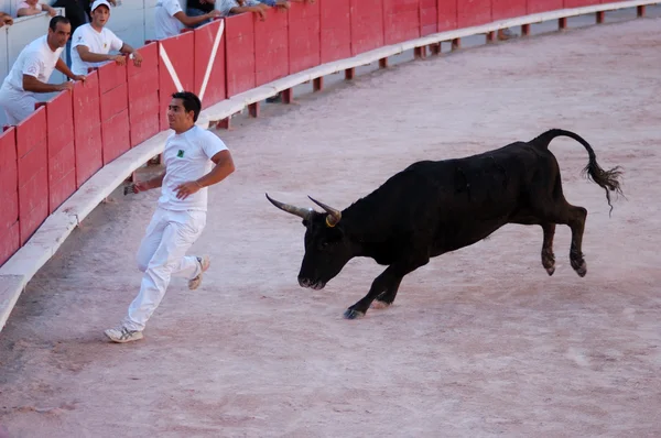 Arles, Fransa 'daki eski Roma Arenasında boğa güreşi — Stok fotoğraf