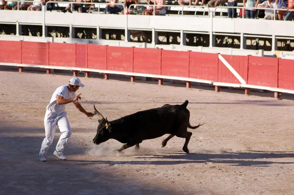 Bullfight in the old Roman arena in Arles, France — Stock Photo, Image