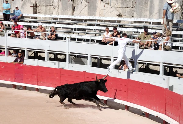 在阿尔勒，法国南部的旧罗马竞技场中的斗牛 — 图库照片