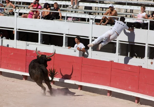 Bullfight in the old roman Arena in Arles, France — Stock Photo, Image