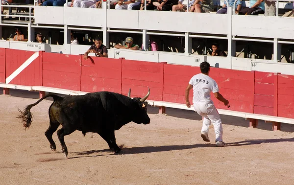 Bullfight in the old roman Arena in Arles, France — Stock Photo, Image