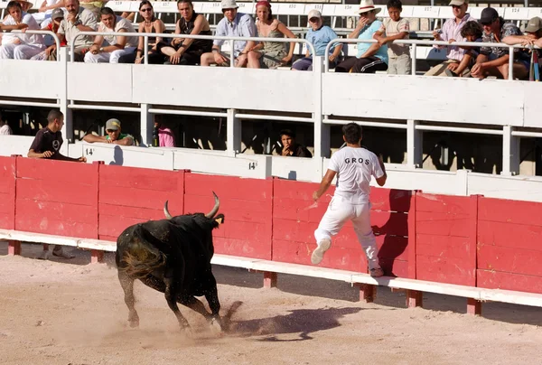 Bullfight in the old roman Arena in Arles, Franc — Stock Photo, Image