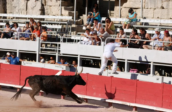 Bullfight a régi római Arles-i Arénában, Franciaországban — Stock Fotó