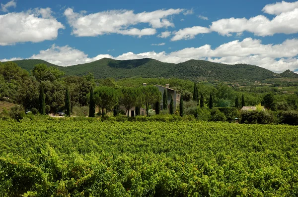 Landskap i provence, Frankrike — Stockfoto