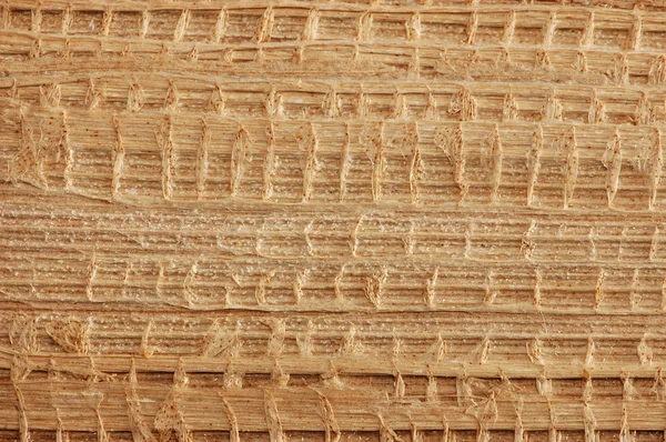 Detail struktury suchý list jako organické pozadí — Stock fotografie