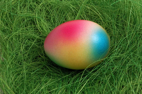 Huevo de Pascua colorido en un nido verde —  Fotos de Stock