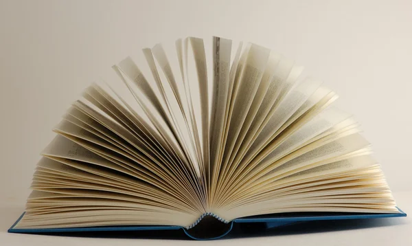 Aufgeschlagenes Buch auf weißem Hintergrund — Stockfoto